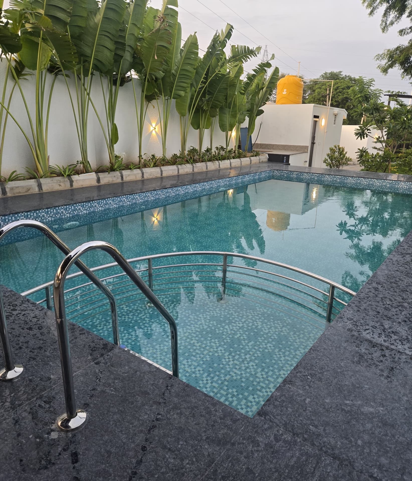 Mosaic pool framed by traveller's palms